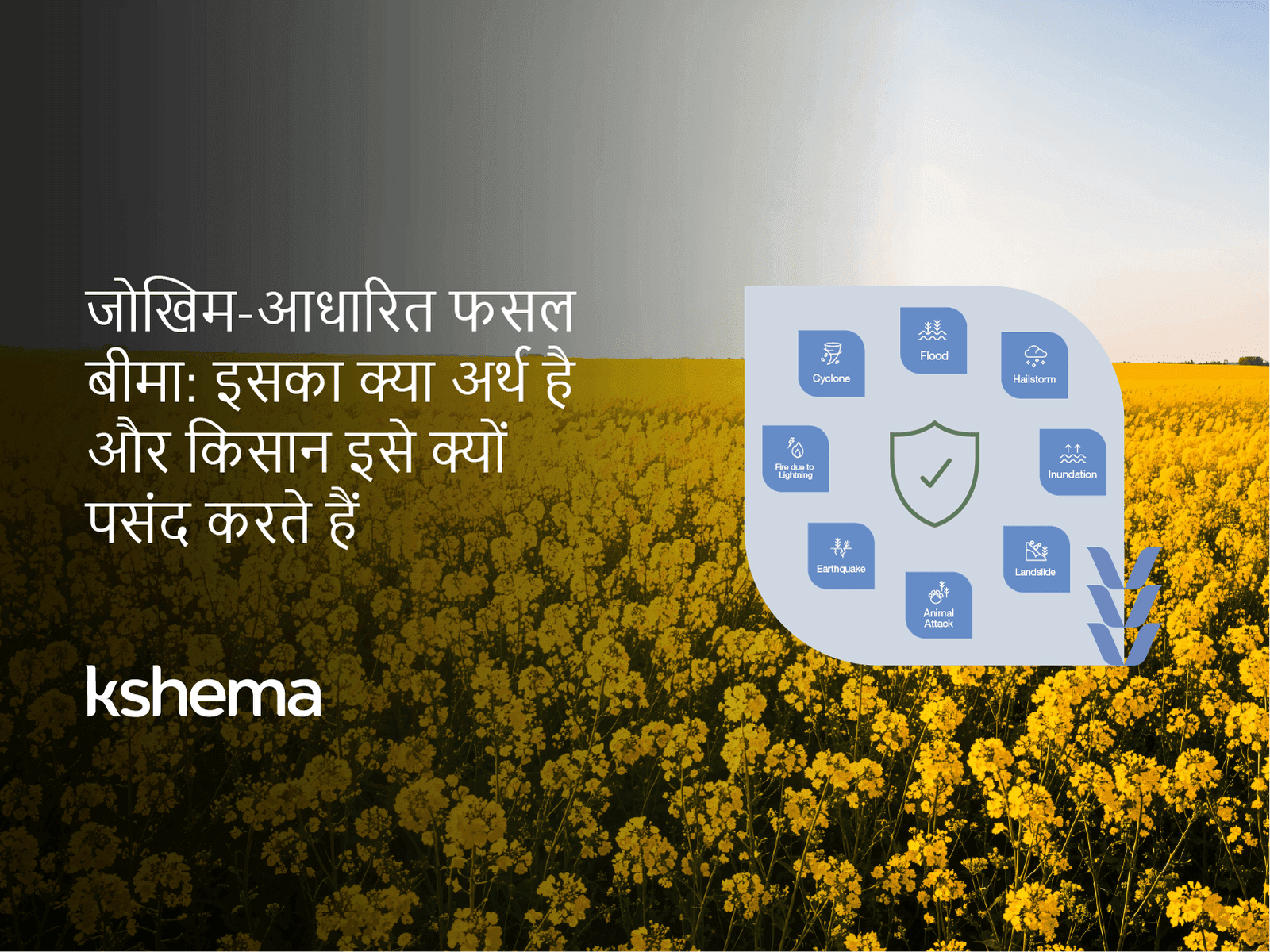 जोखिम-आधारित फसल बीमा: इसका क्या अर्थ है और किसान इसे क्यों पसंद करते हैं