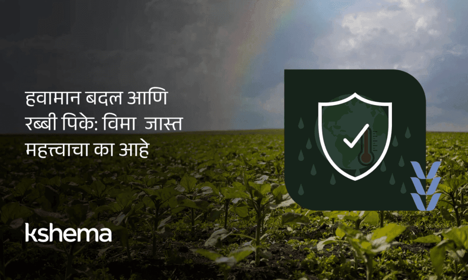 हवामान बदल आणि रब्बी पिक विमा  जास्त महत्त्वाचा का आहे