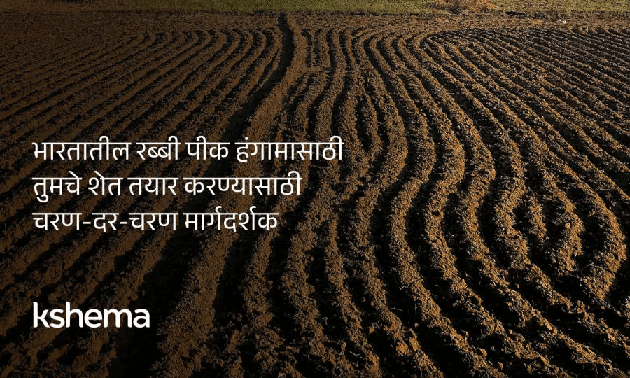 भारतातील रबी पिकांचा हंगाम साठी तुमचे शेत तयार करण्यासाठी चरण-दर-चरण मार्गदर्शक
