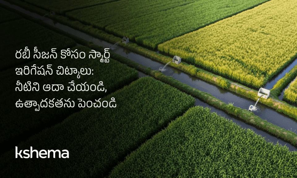 స్మార్ట్ ఇరిగేషన్ చిట్కాలు: రబీ సీజన్‌లో నీరు ఆదా చేసి పంట దిగుబడిని పెంచండి