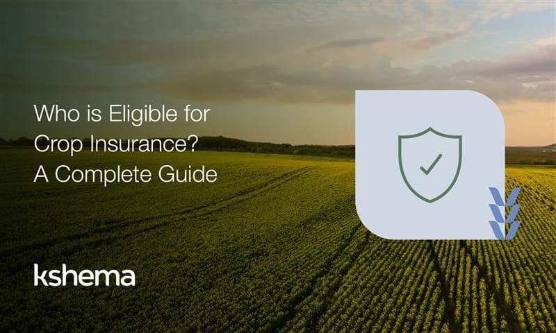 Crop Insurance in India 2026: Eligibility, Schemes & Farmer Guide