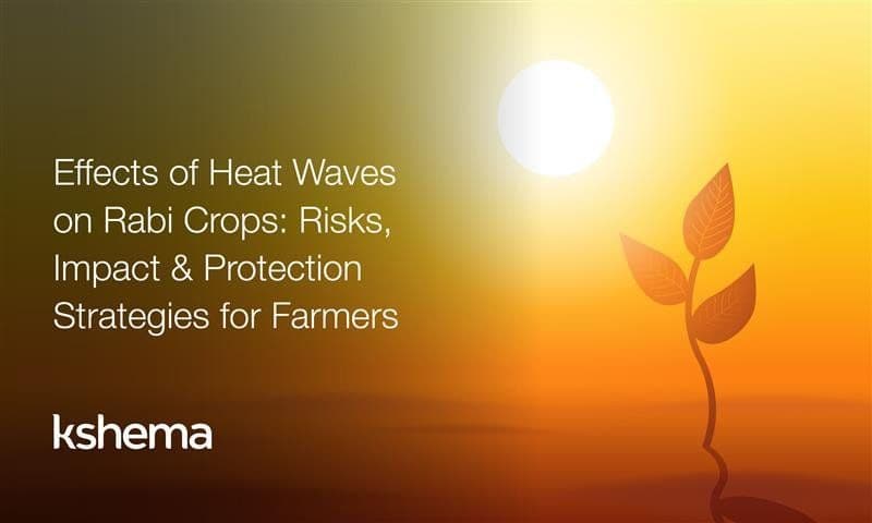 Effects of Heat Waves on Rabi Crops: Yield Risks, Wheat Impact & Farmer Protection in 2026