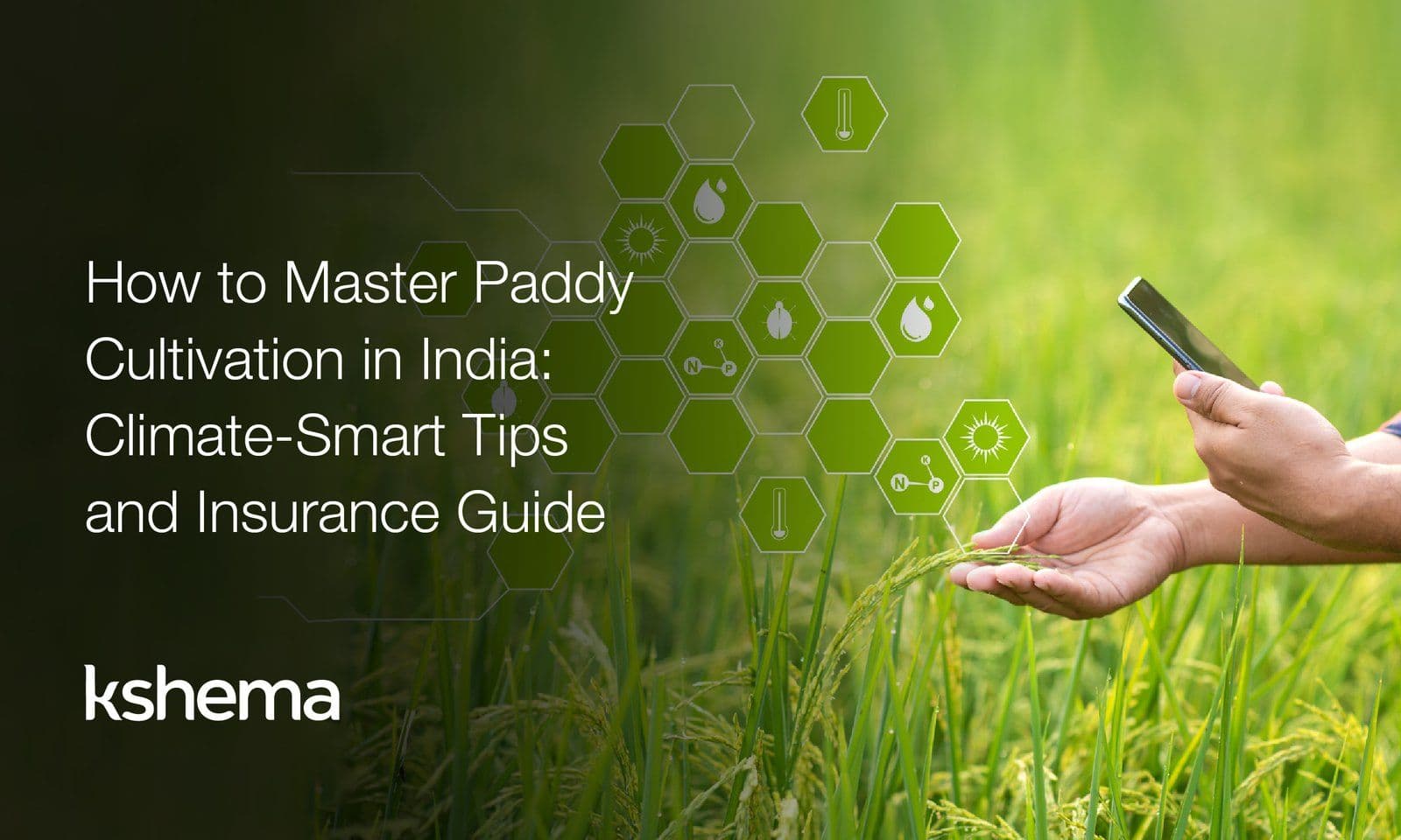 How to Master Paddy Cultivation in India (2026): Climate‑Smart Tips & Insurance Guide