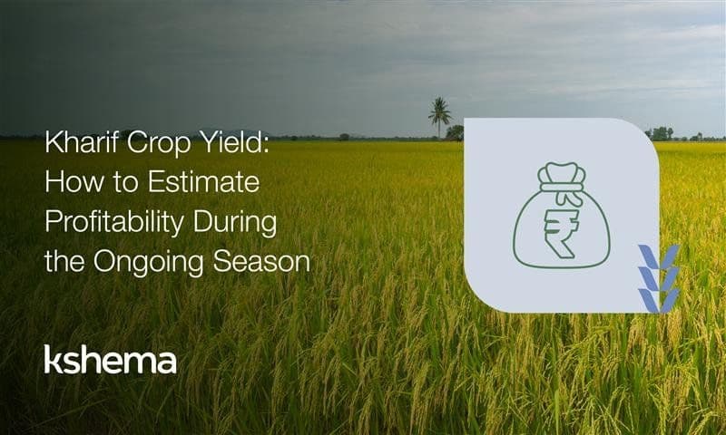 Kharif Crop Yield: How to Estimate Profitability During the Ongoing Season