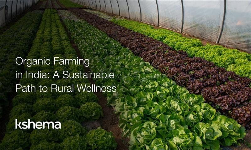 Organic Farming in India: Benefits, Practices & Rural Impact