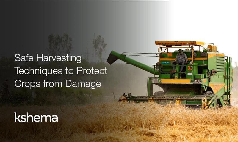 Safe Harvesting Techniques to Protect Crops from Damage