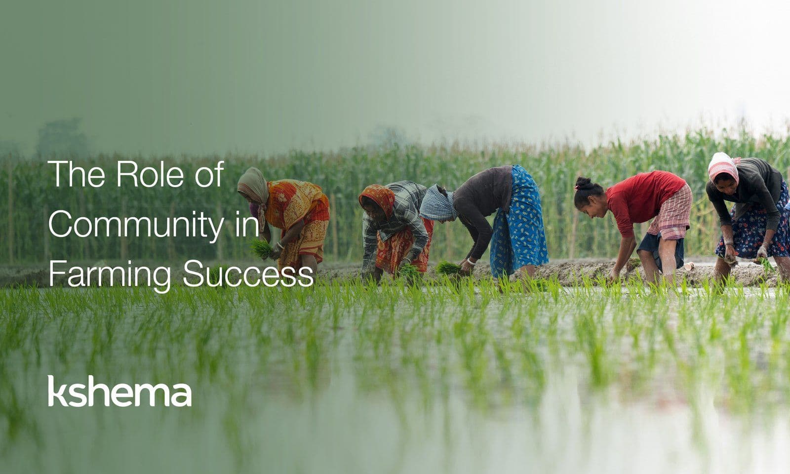 The Role of Community in Farming Success in 2026