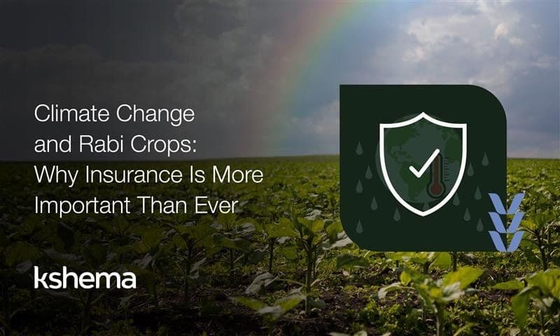 Why Crop Insurance Matters More Than Ever for Rabi Crops